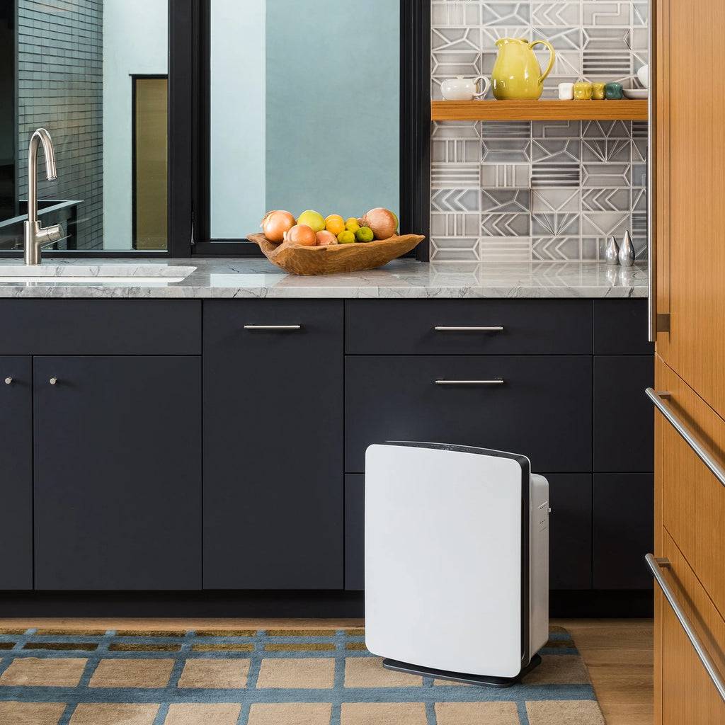 Air Purifier with True HEPA Filter M927657