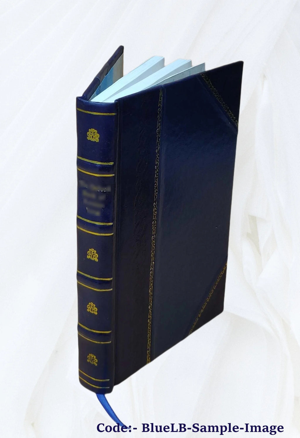 Report on the investigations into the purification of the Ohio River water at Louisville Kentucky 1898 J955