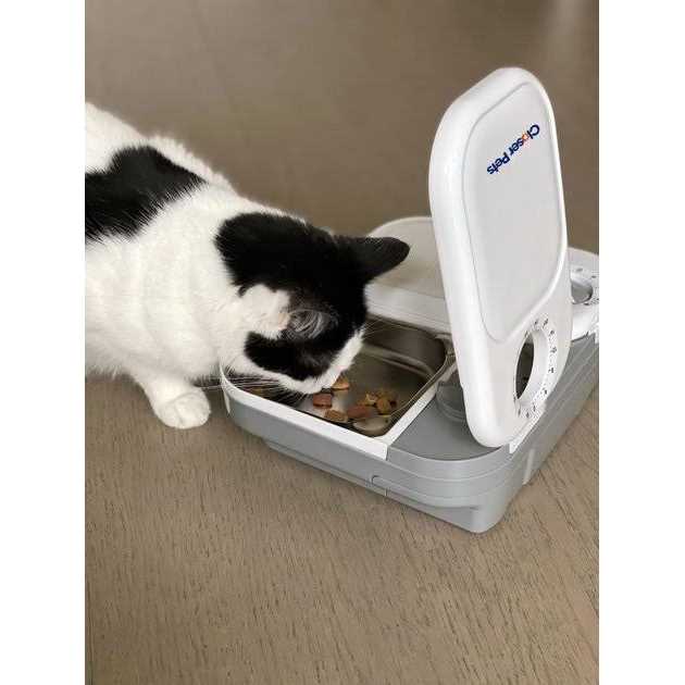 Automatic Pet Feeder with Stainless Steel Bowl Inserts I150