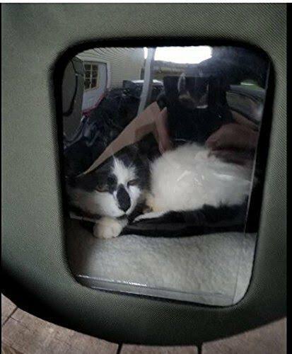 Cat House G73293