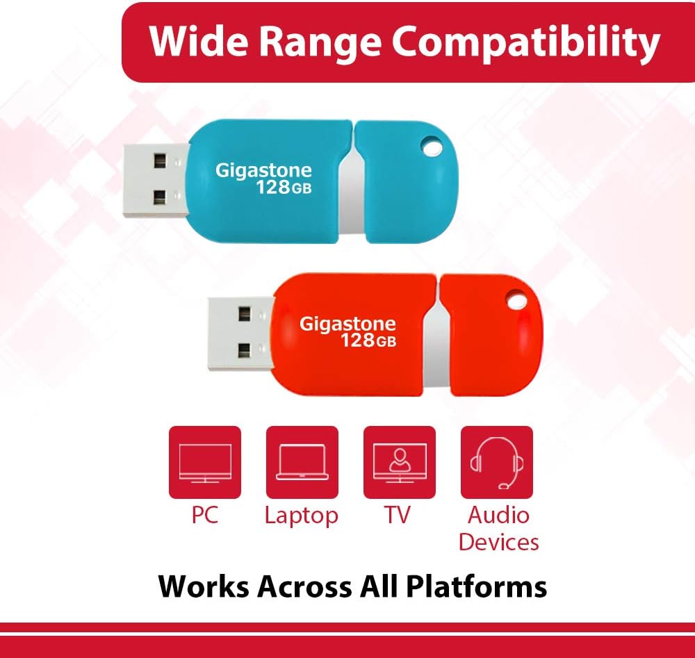 128GB 2-Pack USB 2.0 Flash Drive J9165
