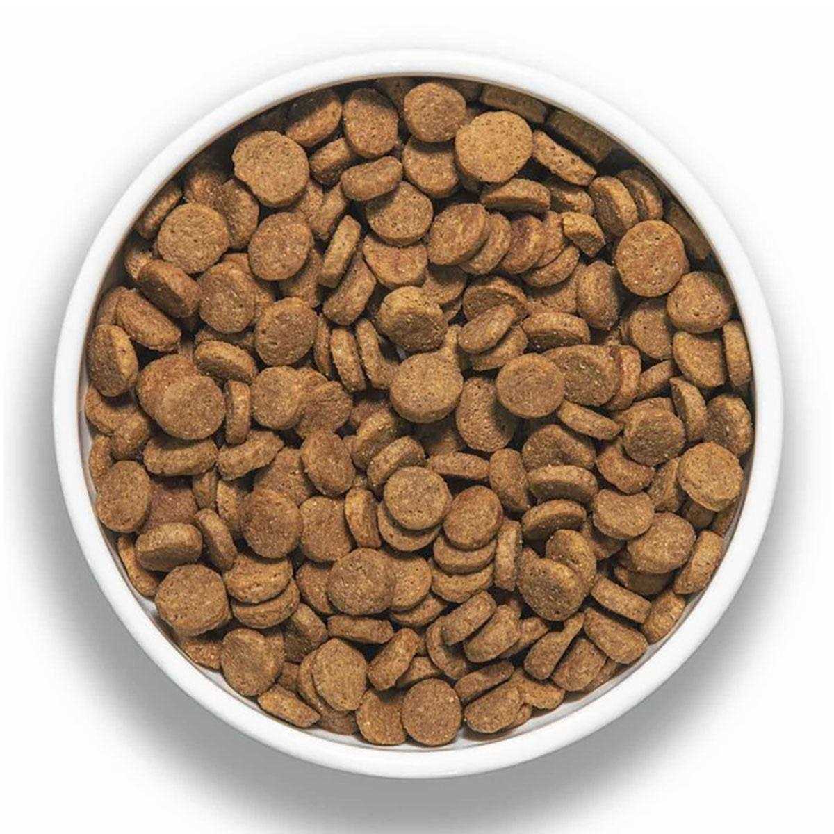 Duck Recipe Dry Dog Food Y240