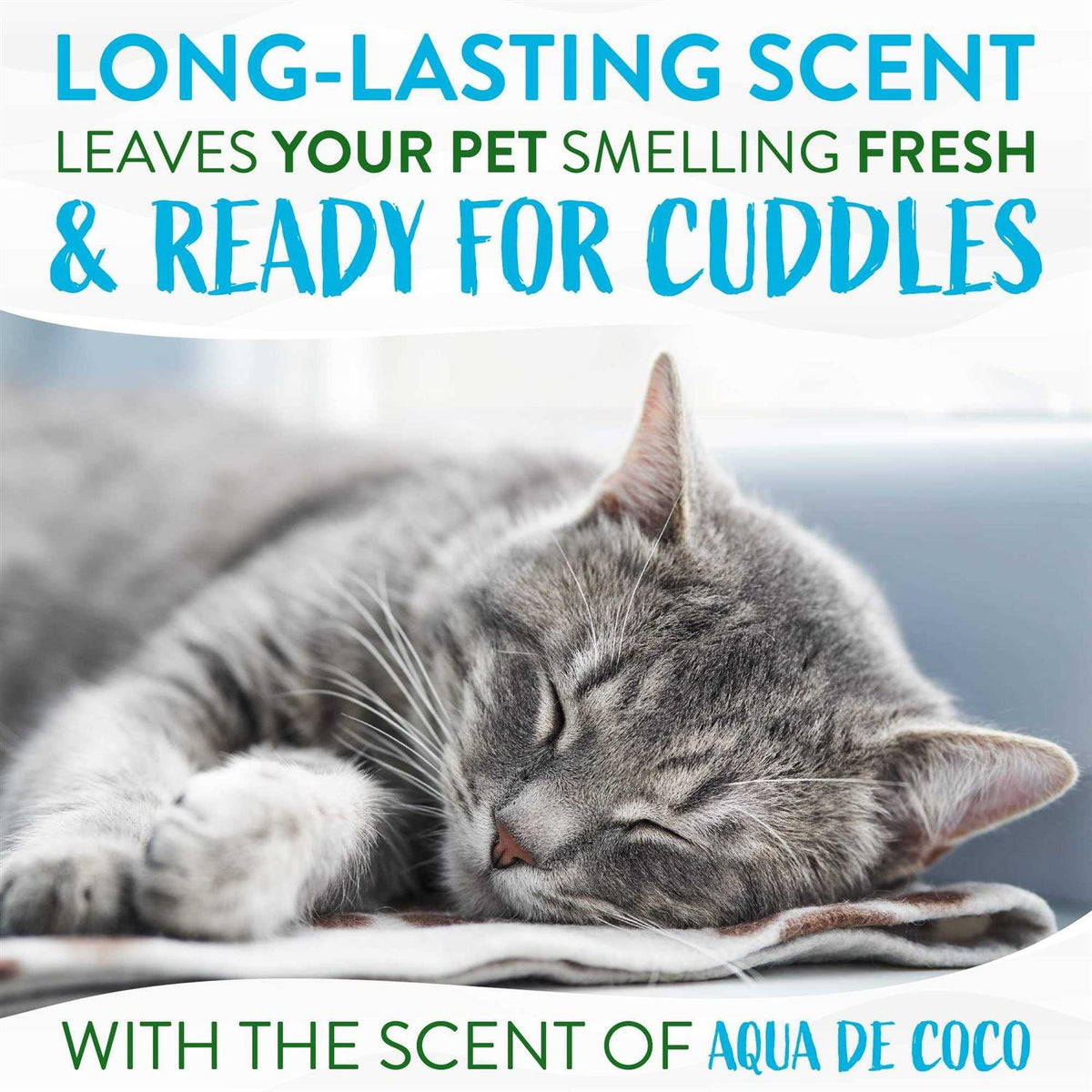 Waterless Cat Shampoo L72147