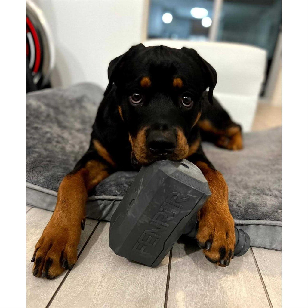 Hammer Chew Toy F66468