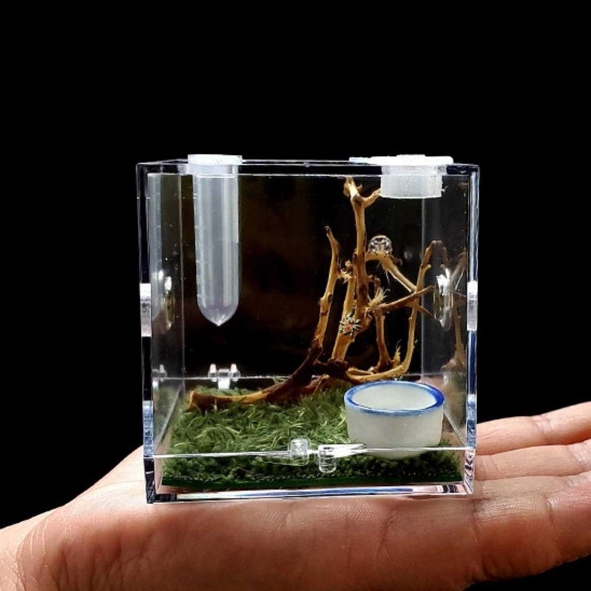Spider Terrarium Acrylic Reptile Breeding Box with Dropper Tongs P639636