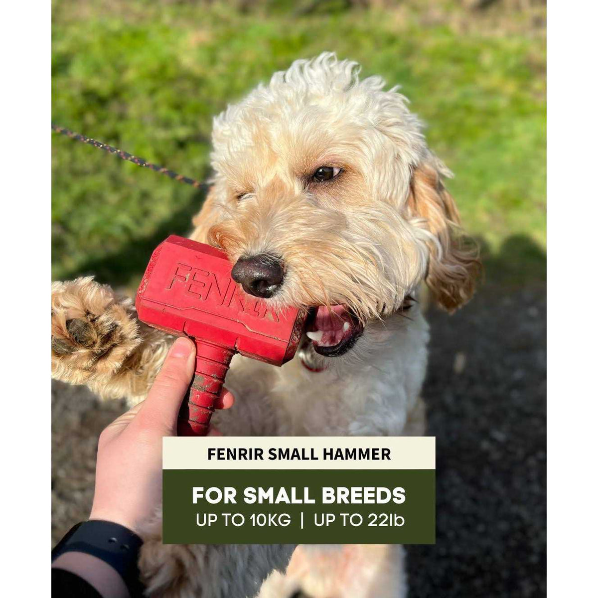 Hammer Chew Toy F66468