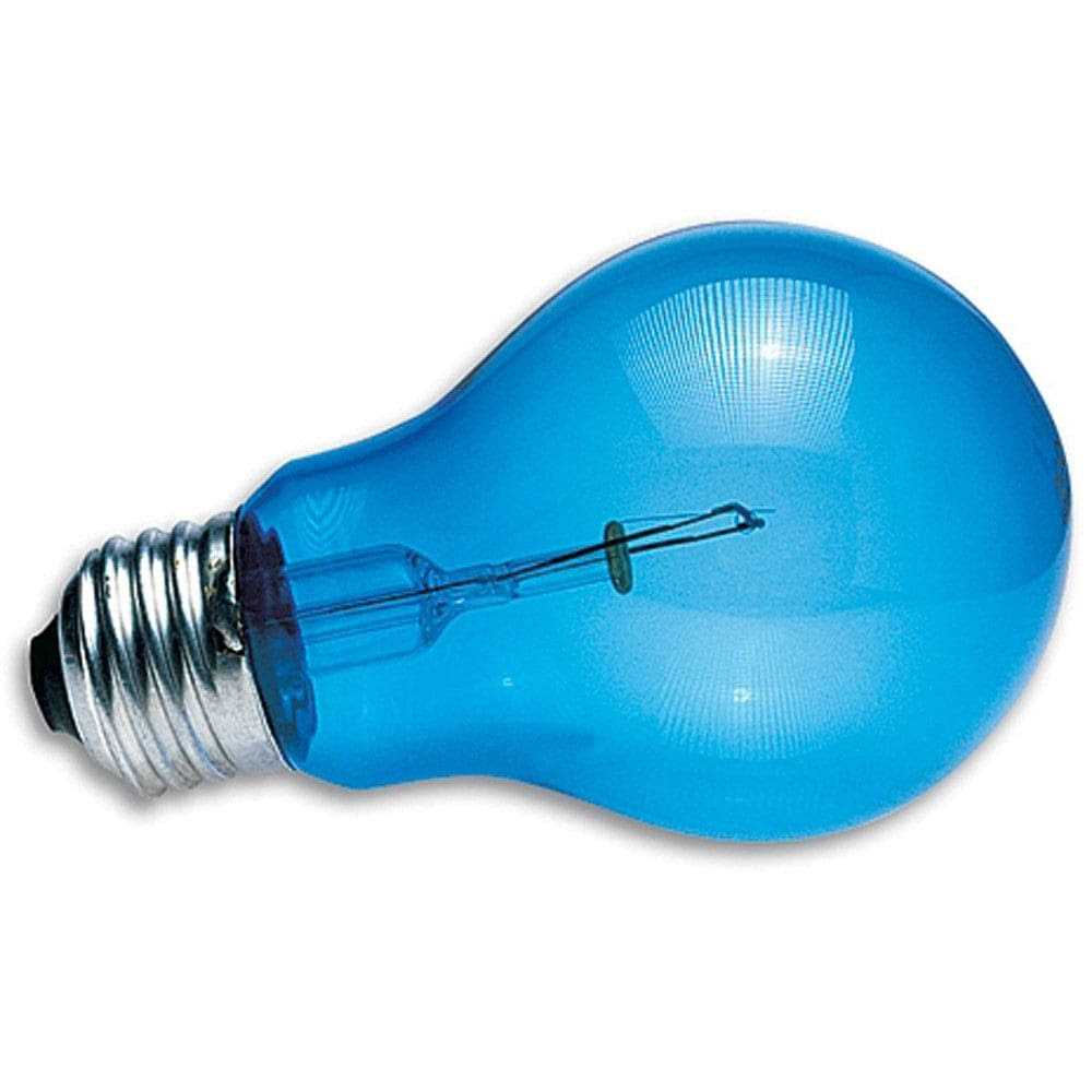 Daylight Blue Reptile Bulb E1330