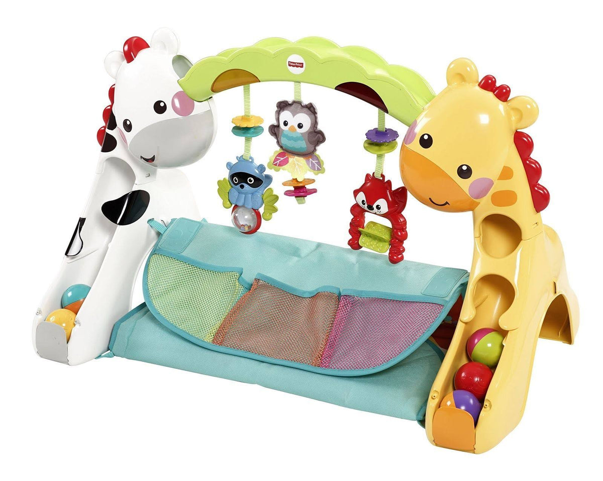 Newborn-to-Toddler Play Gym W533835