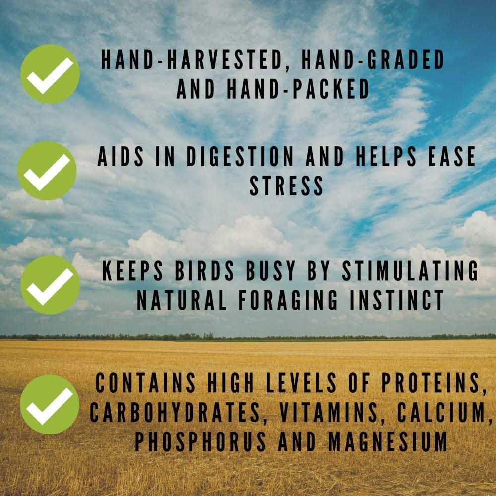 Sun-Dried Non-GMO Pesticide Free B87651