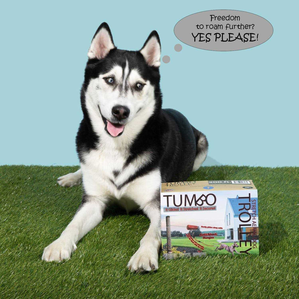 Anti-Shock Aerial Dog Runner T6308