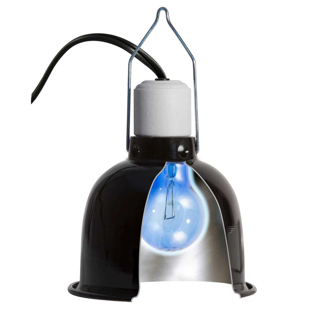 Daylight Blue Reptile Bulb E1330