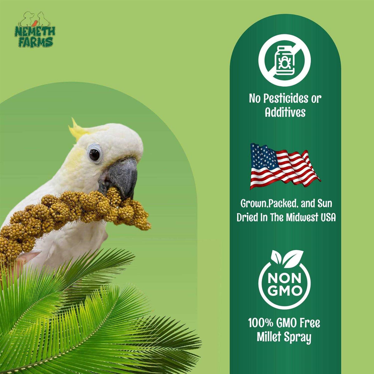 Sun-Dried Non-GMO Pesticide Free B87651