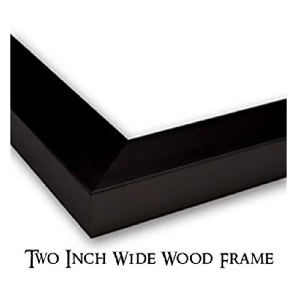 Black Modern Framed Museum Art Print O519376
