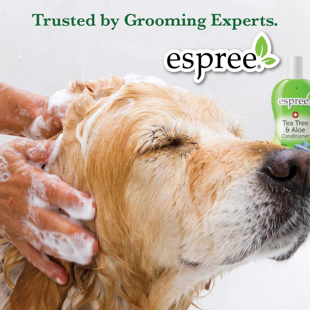 Silky Show Shampoo X36668