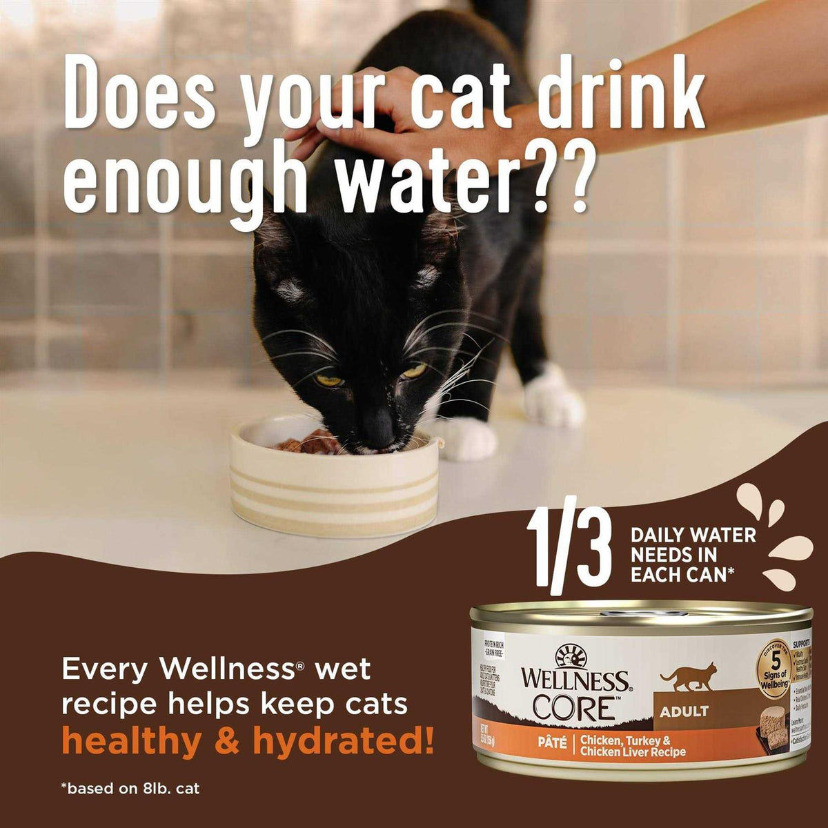 Grain-Free Chicken Turkey & Chicken Liver Pate Canned Cat Food S92119