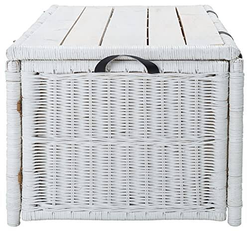 White/Brown Rattan Storage Trunk Q4619