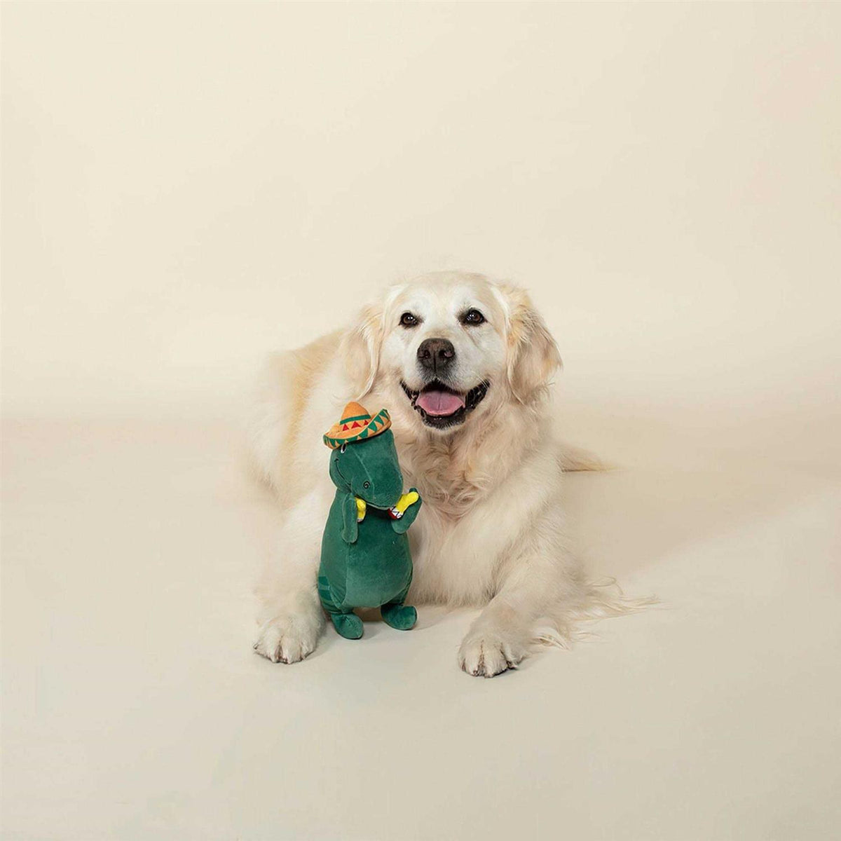 Dog Toy R64648
