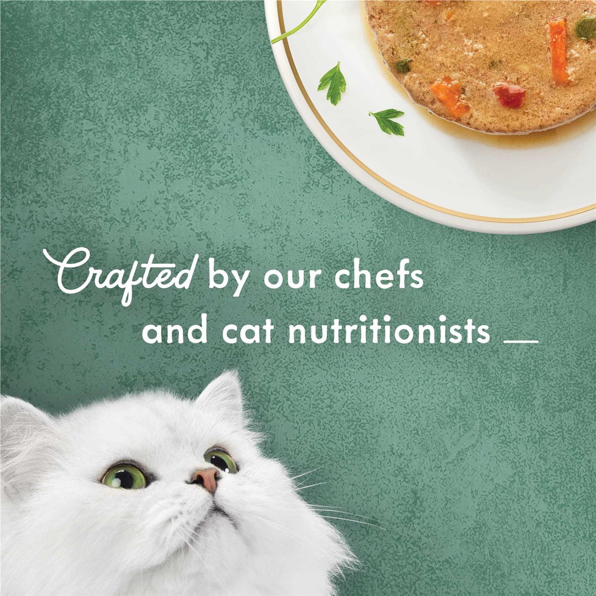 Shredded White Meat Chicken Wet Cat Food L5104