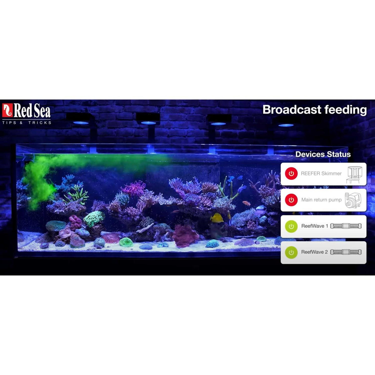 Reef Energy AB+ Plus Coral Nutrition S801694