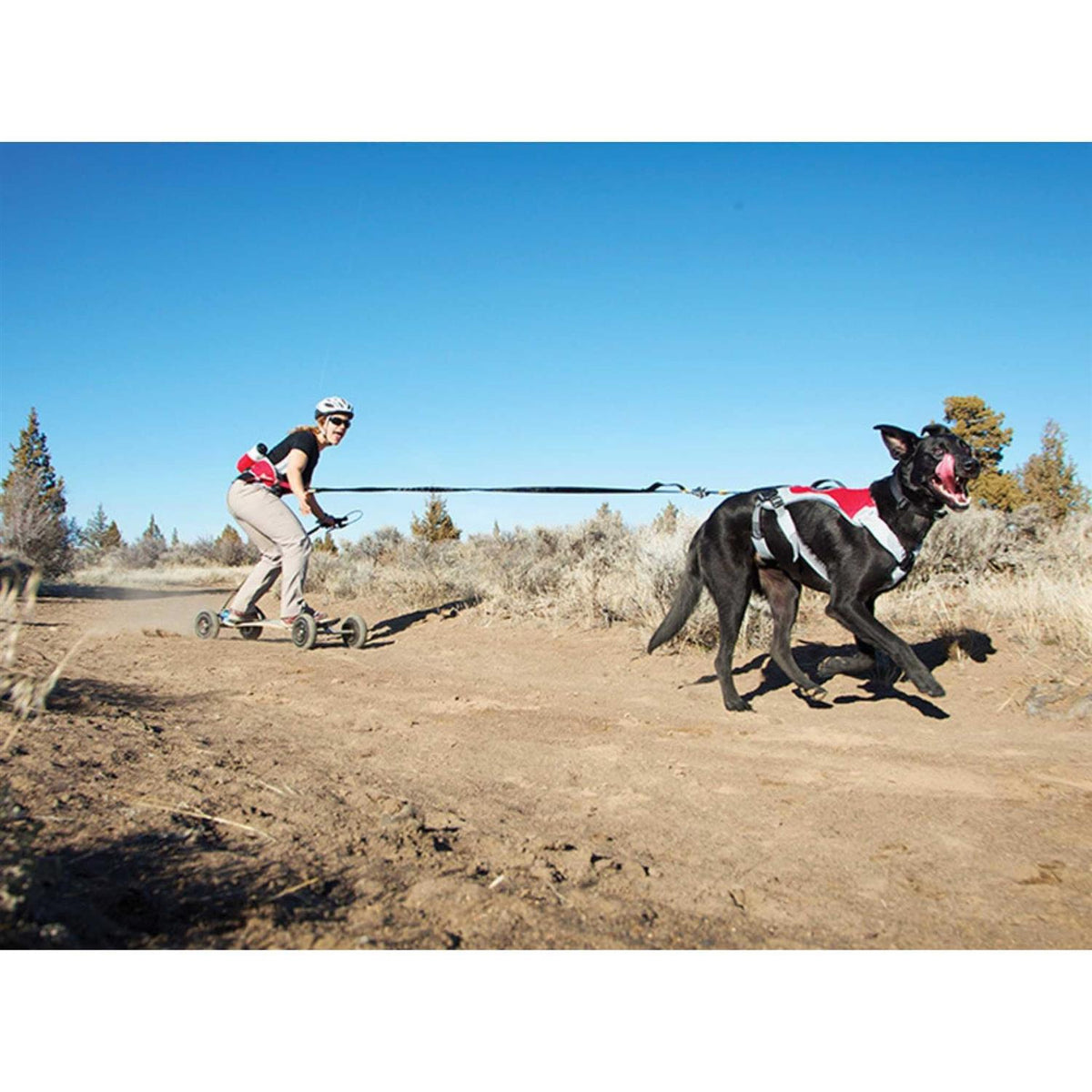 Joring System R2484