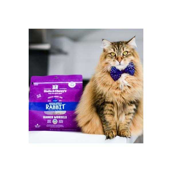 Freeze-Dried Salmon Chicken Cat Food X42090