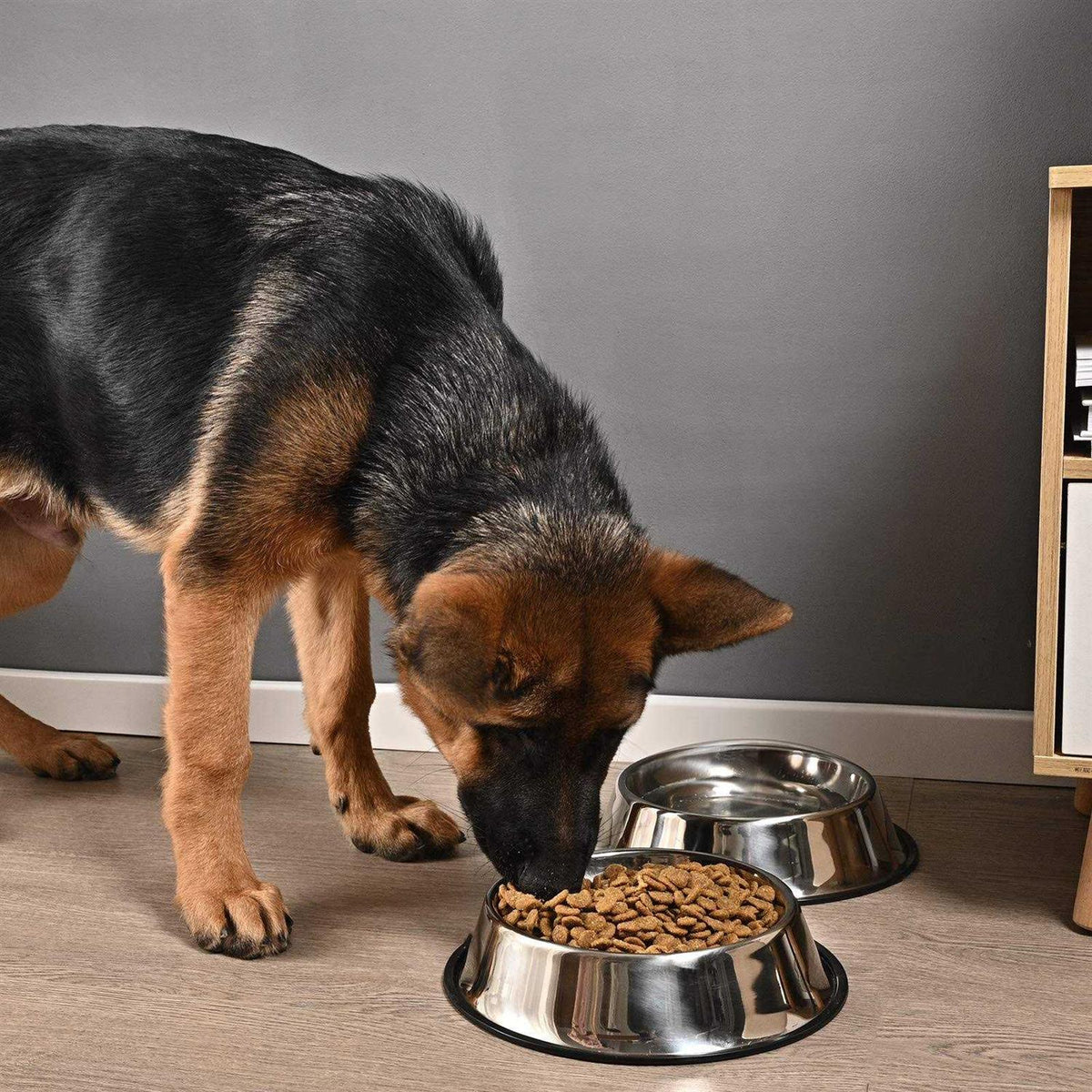 2 Packs Stainless Steel Dog Bowl with Anti-Skid Rubber Base T8169