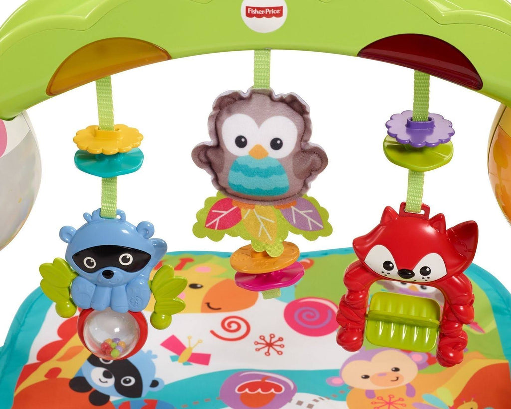 Newborn-to-Toddler Play Gym W533835