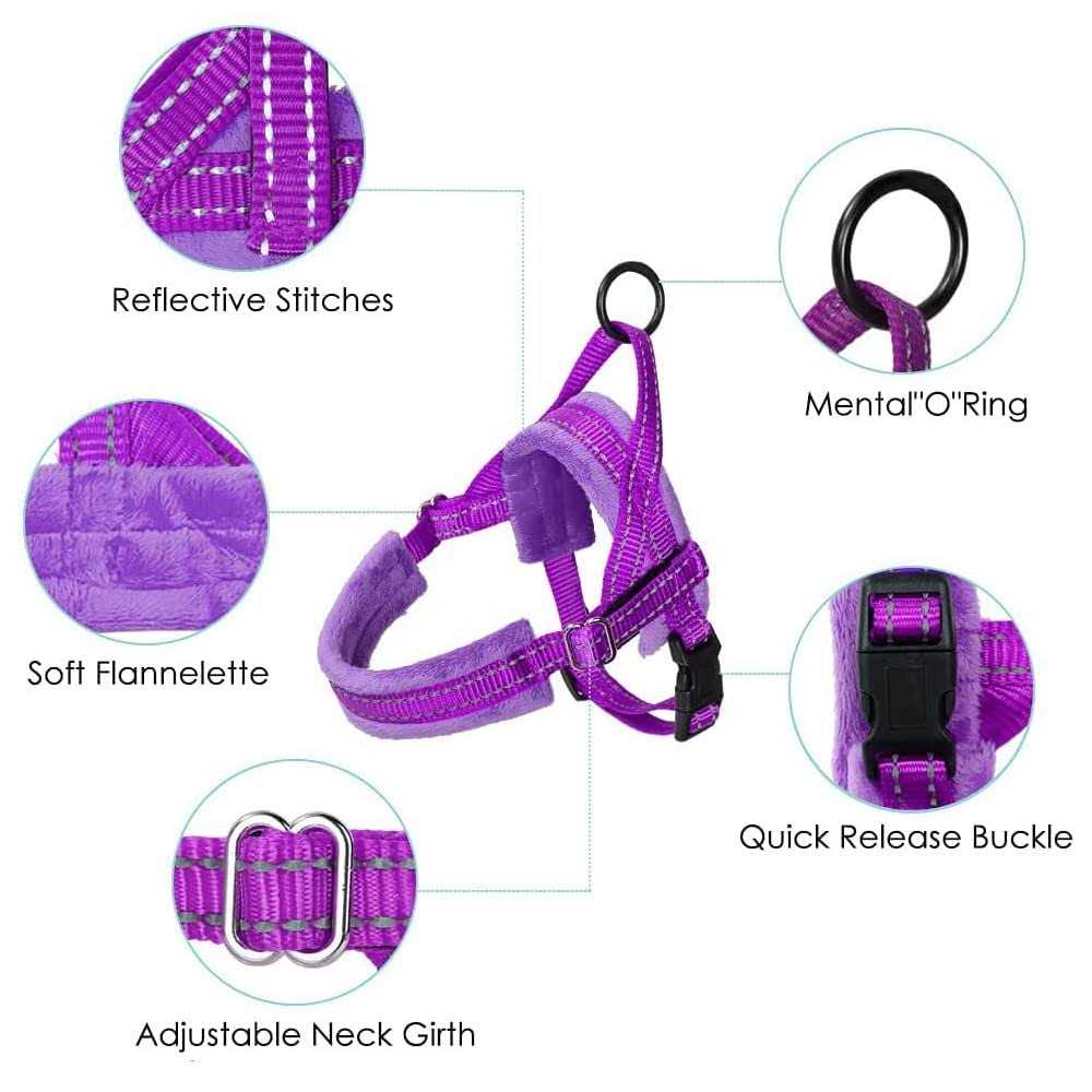Heavy Duty Adjustable Reflective Dog Harness and Leash T96955