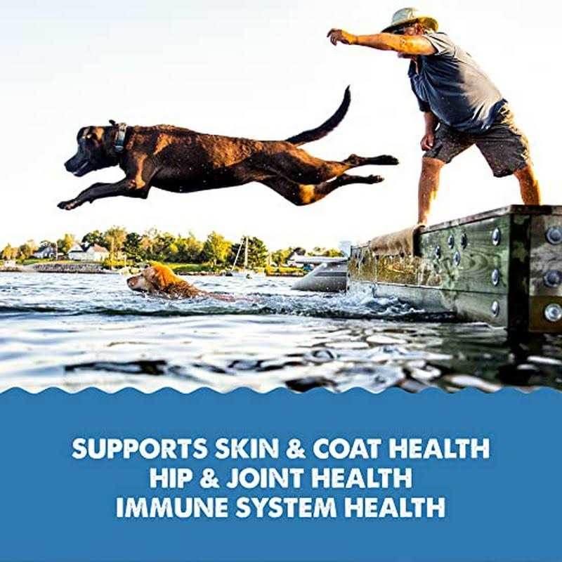 Liquid Omega-3 Supplement for Dogs K59709