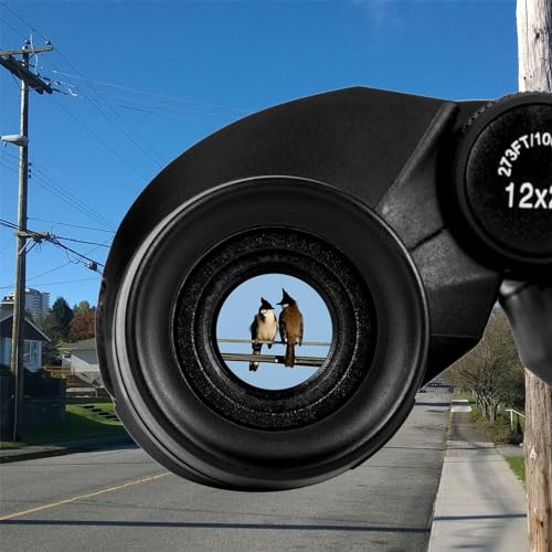 12x25 Compact Waterproof Binoculars C7101