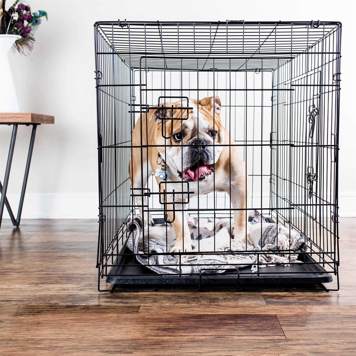 Folding Wire Dog Crate Q90972