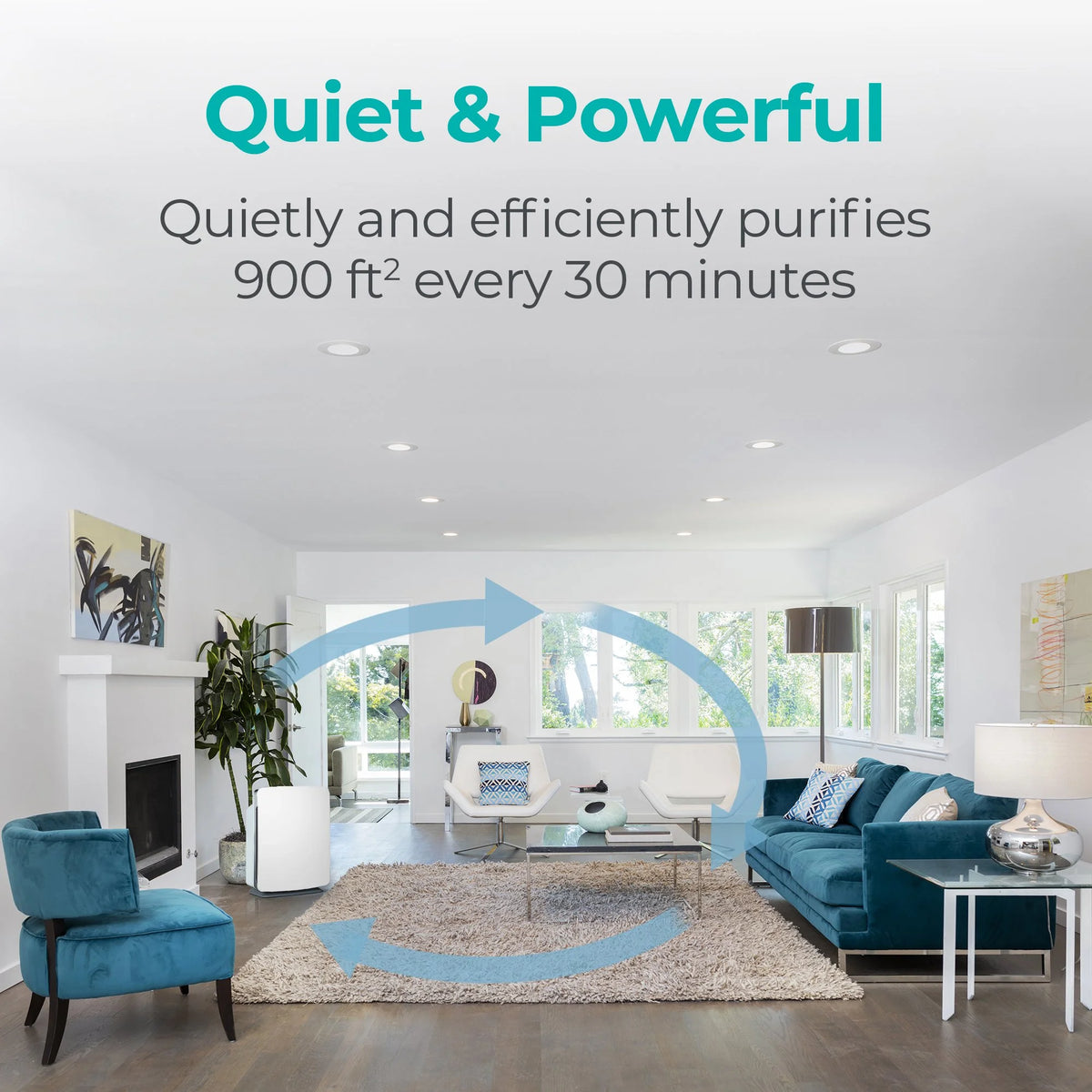 Air Purifier with True HEPA Filter M927657