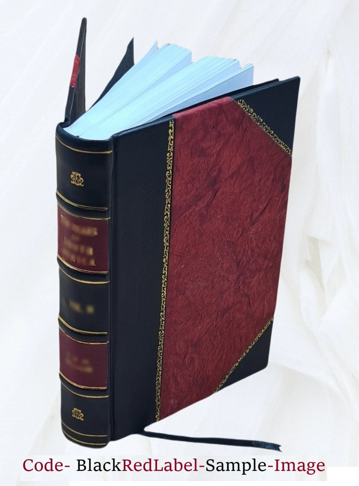 Leather Bound Book G852707