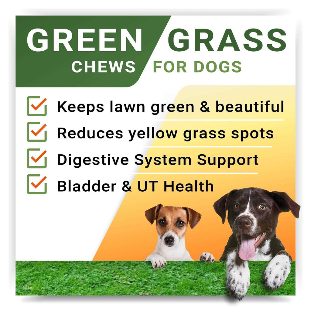 Grass Restore Treats for Dogs K3522