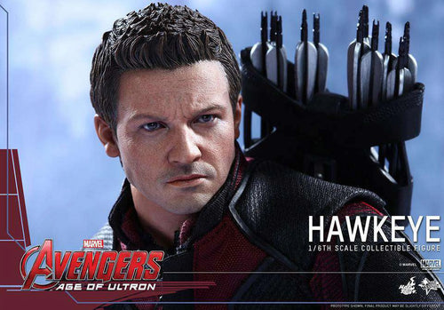 1/6 Action Figure Hawkeye P52775