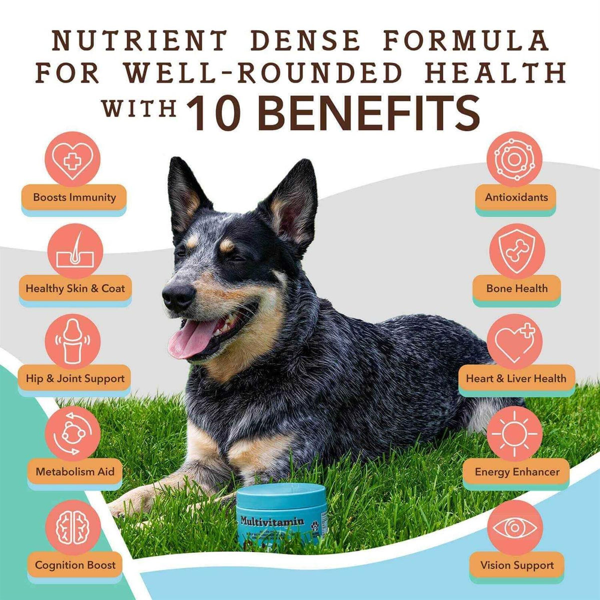 Multivitamin Pet Supplies X81510